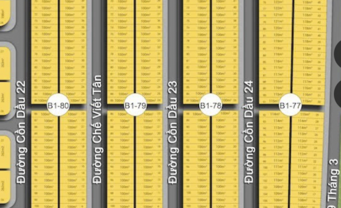 Sở hữu lô B1-79-114 Cồn Dầu – 115,6m² Đường Lê Sỹ 10m5, Diện tích rộng rãi